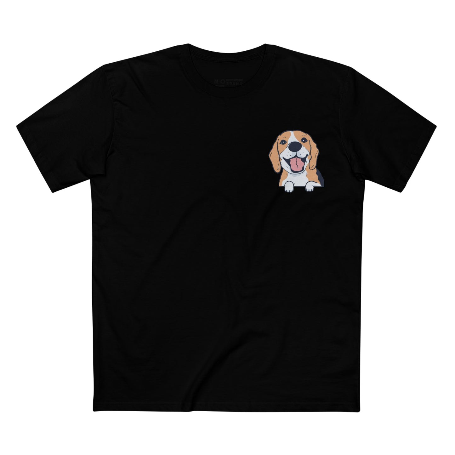 Beagle - dogs collection