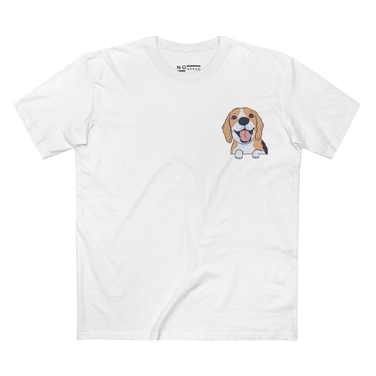 Beagle - dogs collection